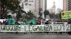 mariguana 8